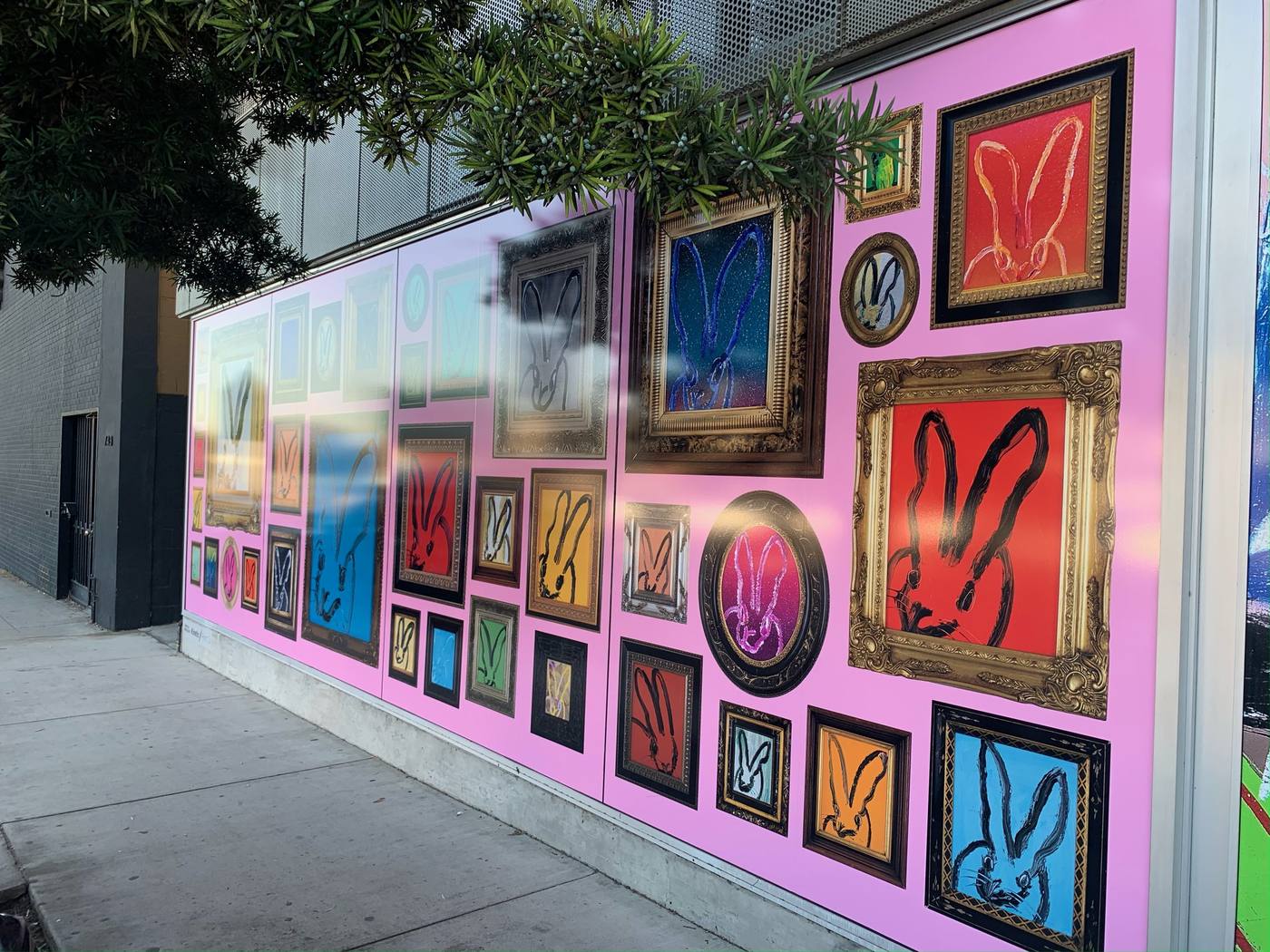 Storefront window wrap displaying a pink gallery wall of framed rabbit paintings